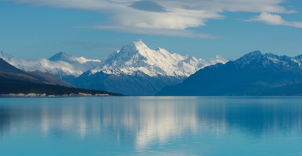 教学成果奖设计、培育及申报典型案例分享
